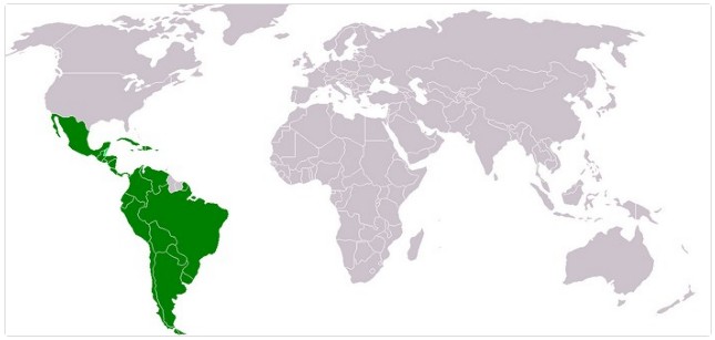 拉丁美洲手机普及率53% 巴西占市场三分之一